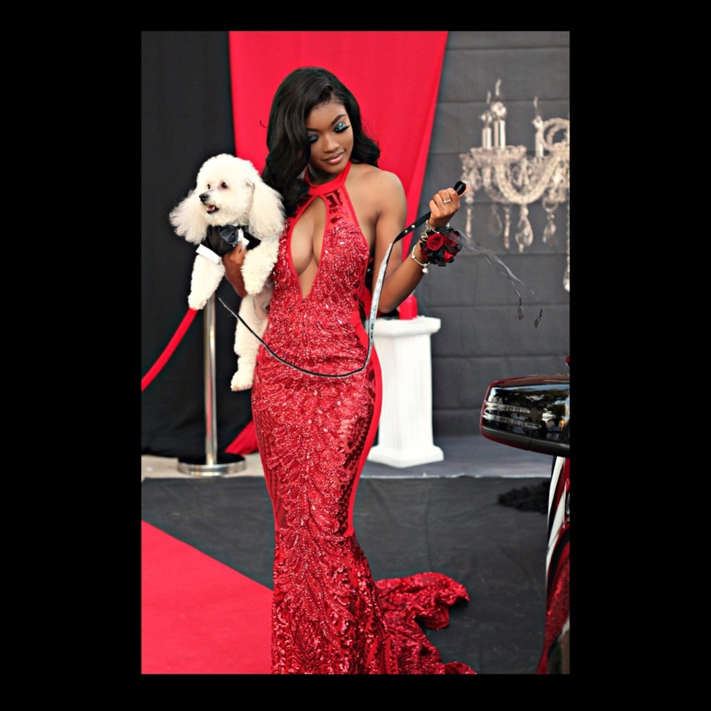 Selling Ruby Red Swarovski Crystal Gown
